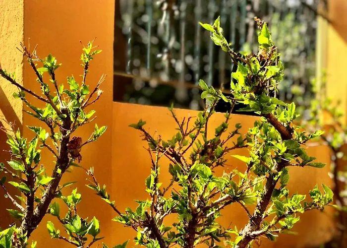 Casa Amarilla Junto Al Mar