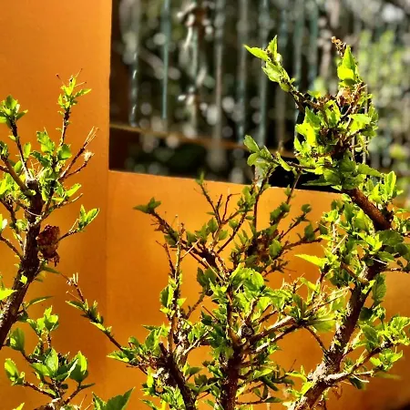 Casa Amarilla Junto Al Mar